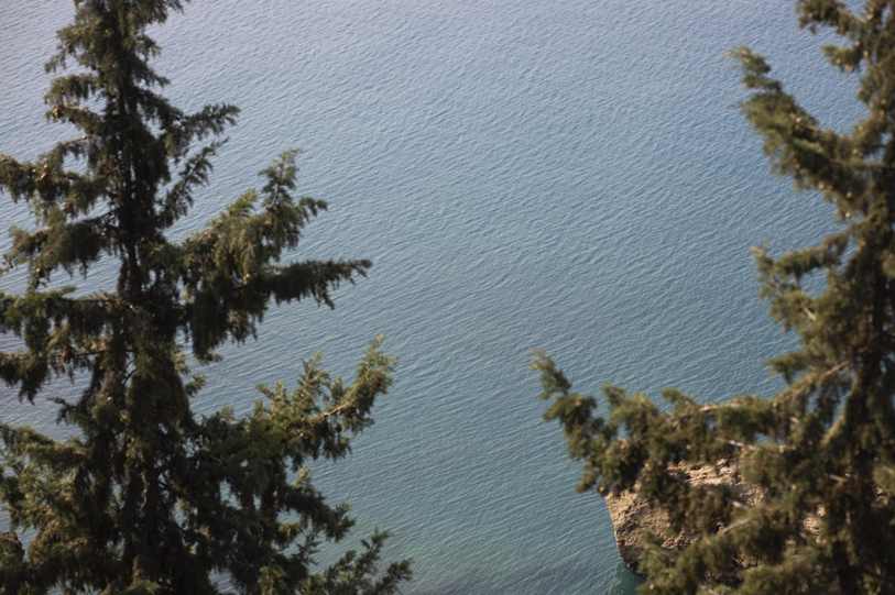 Ella_Jobim